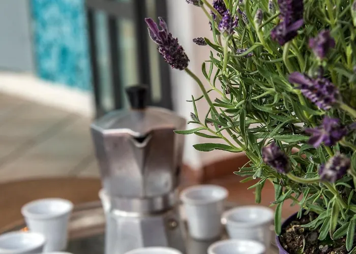 Beauty Of With Panoramic Terrace Bs *